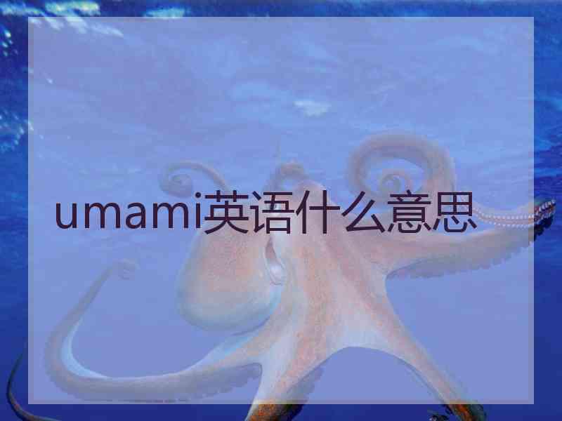 umami英语什么意思