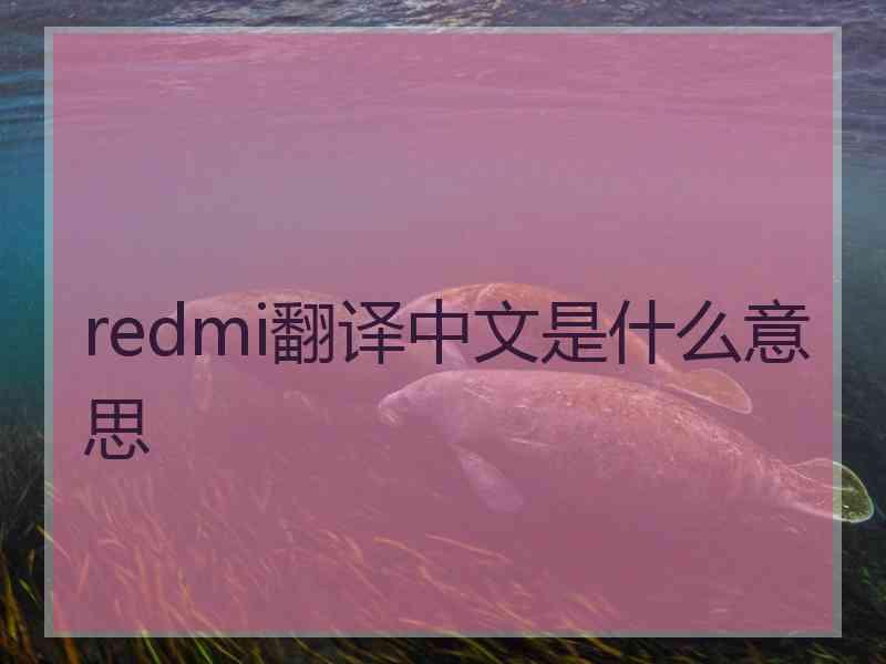 redmi翻译中文是什么意思