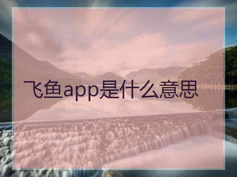 飞鱼app是什么意思