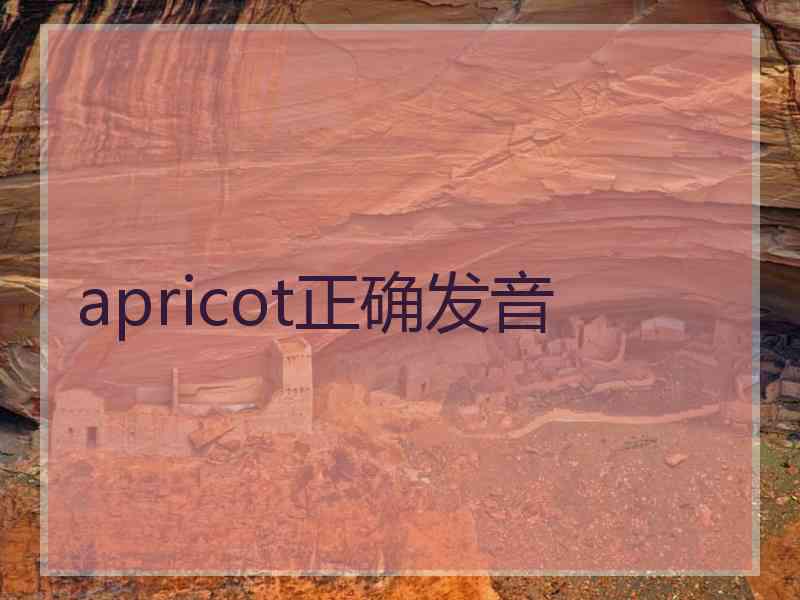 apricot正确发音