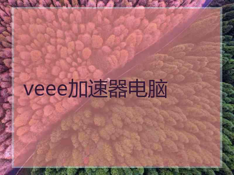 veee加速器电脑