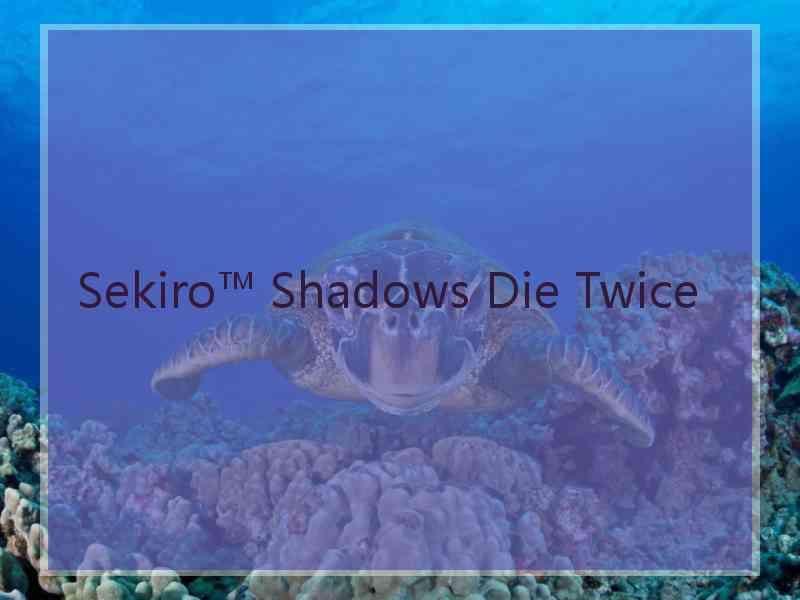 Sekiro™ Shadows Die Twice