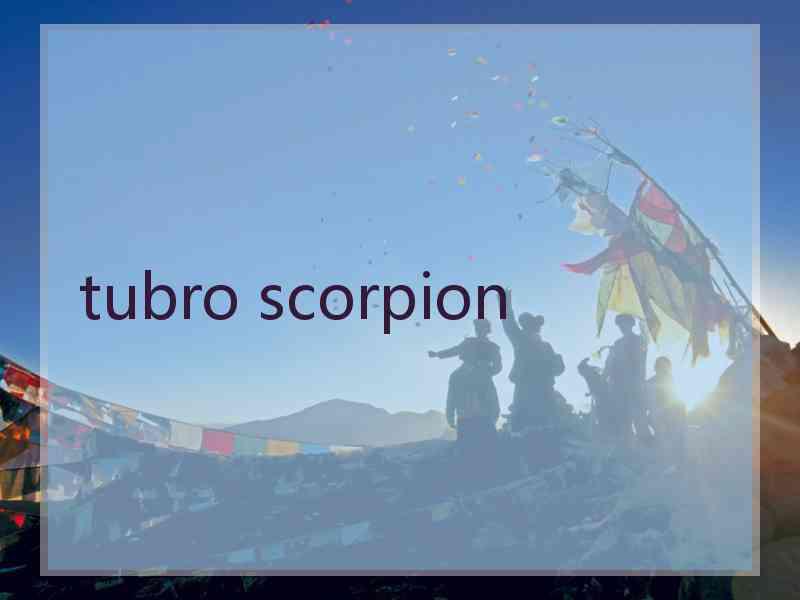 tubro scorpion