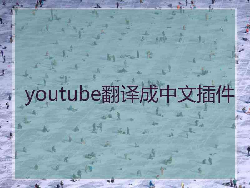 youtube翻译成中文插件