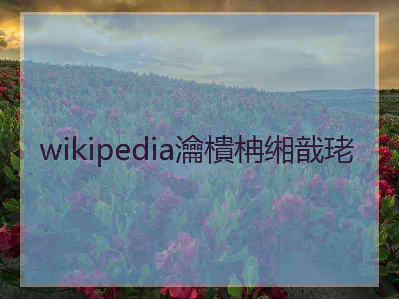 wikipedia瀹樻柟缃戠珯