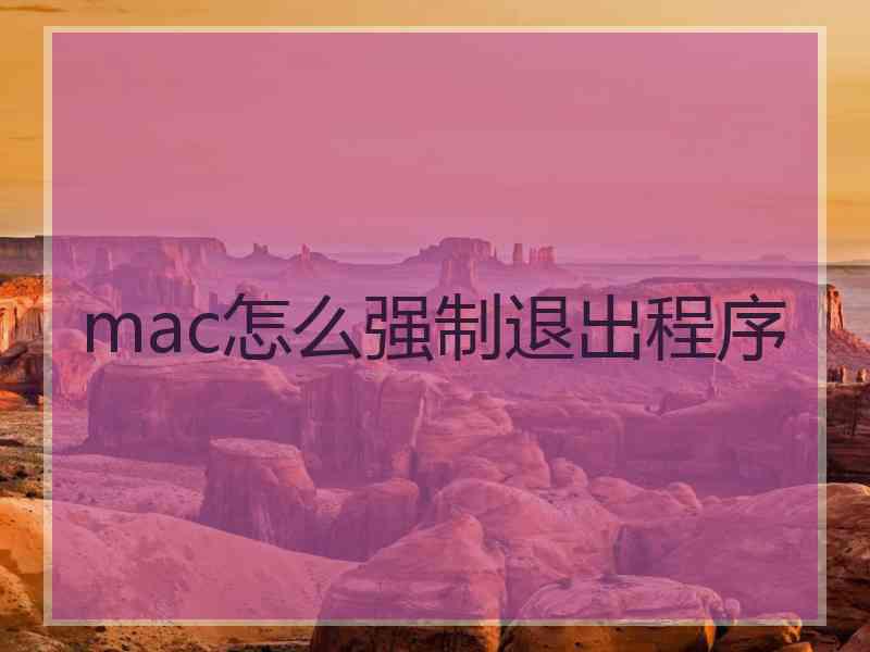 mac怎么强制退出程序