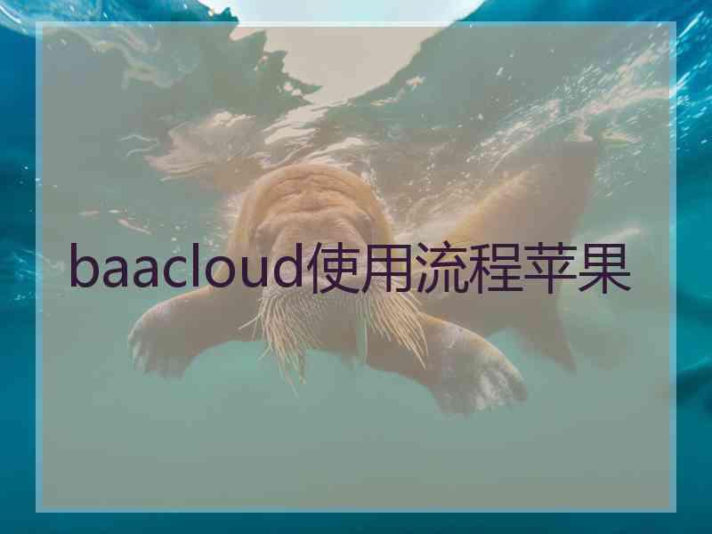 baacloud使用流程苹果