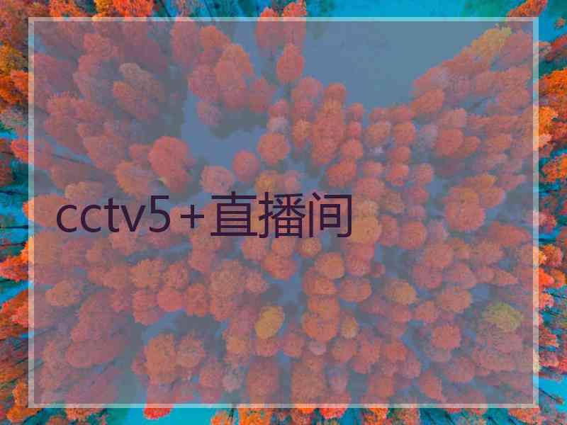 cctv5+直播间