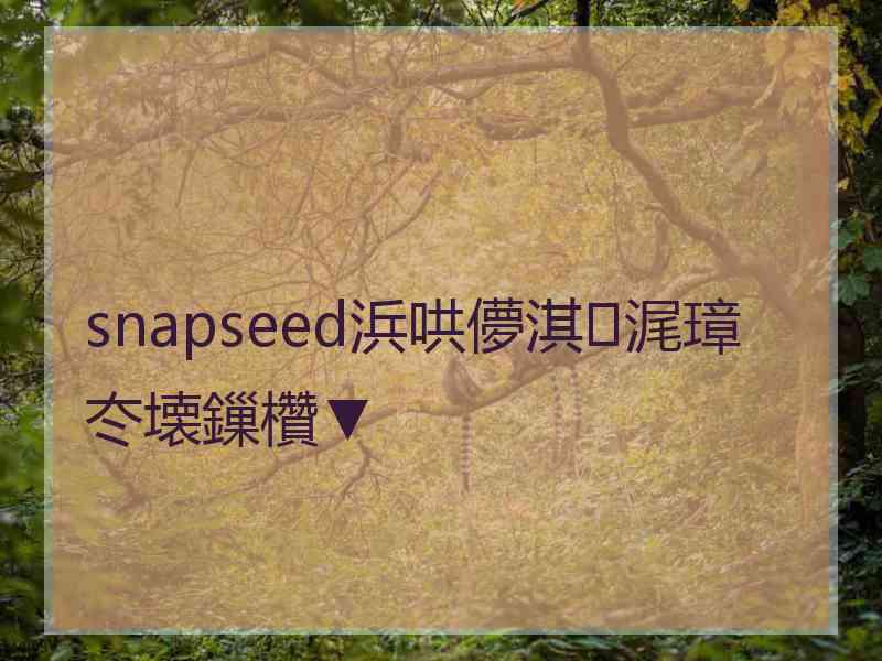 snapseed浜哄儚淇浘璋冭壊鏁欑▼