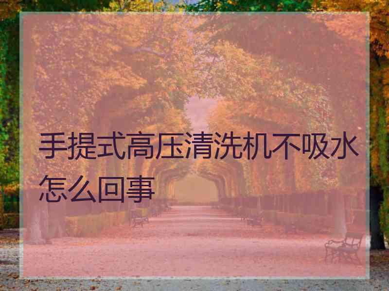 手提式高压清洗机不吸水怎么回事