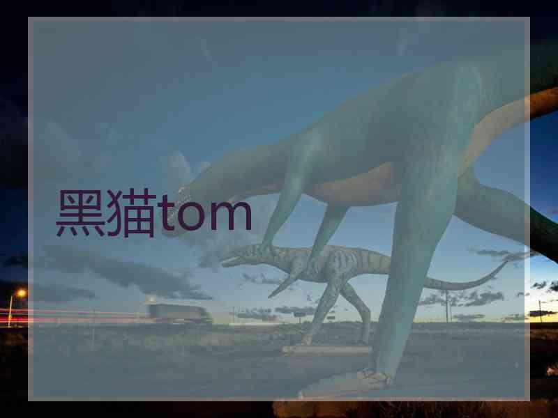 黑猫tom