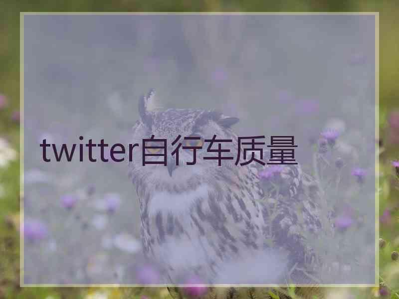 twitter自行车质量