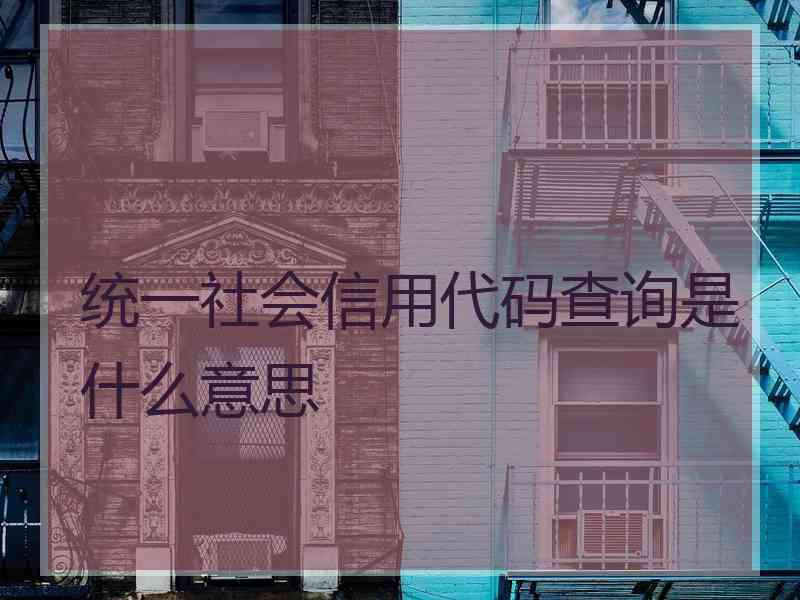 统一社会信用代码查询是什么意思