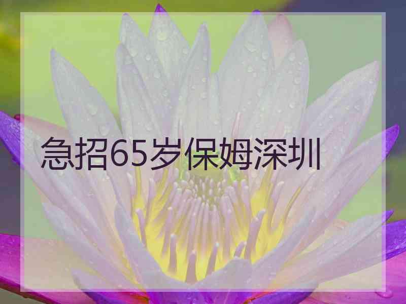 急招65岁保姆深圳