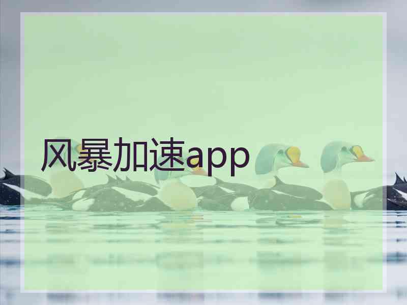 风暴加速app