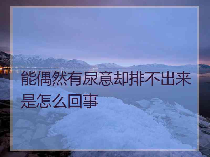 能偶然有尿意却排不出来是怎么回事