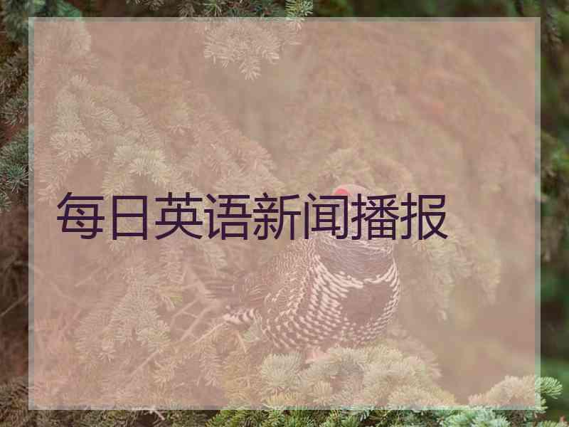 每日英语新闻播报