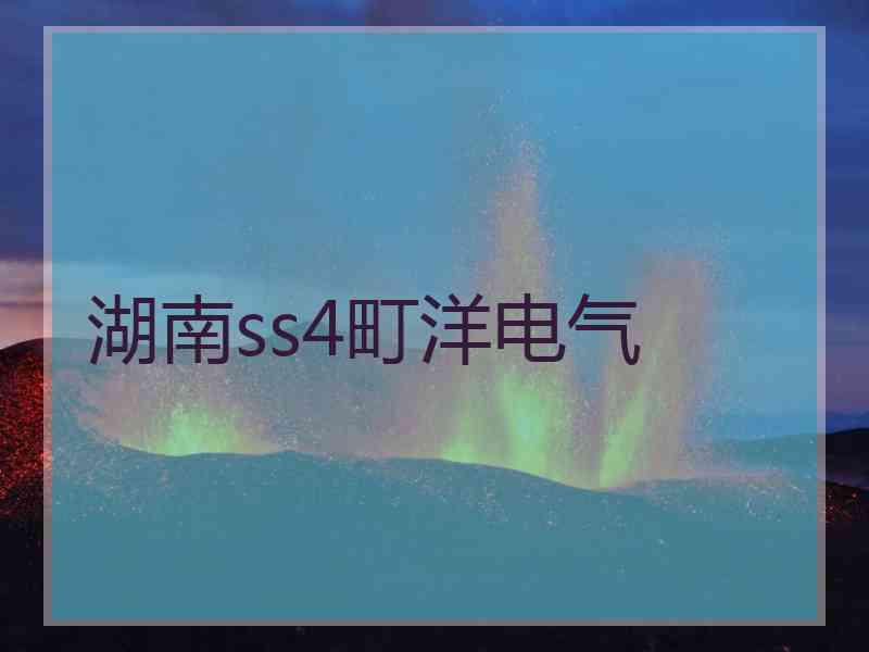 湖南ss4町洋电气