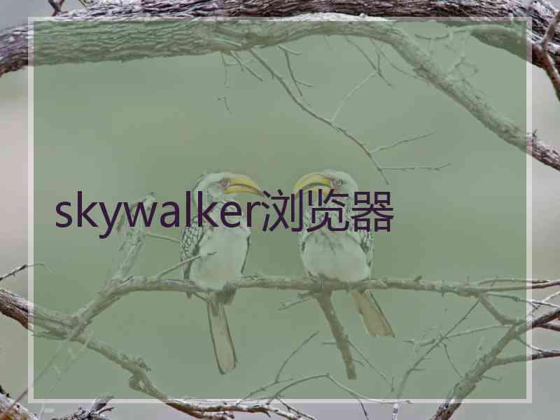 skywalker浏览器