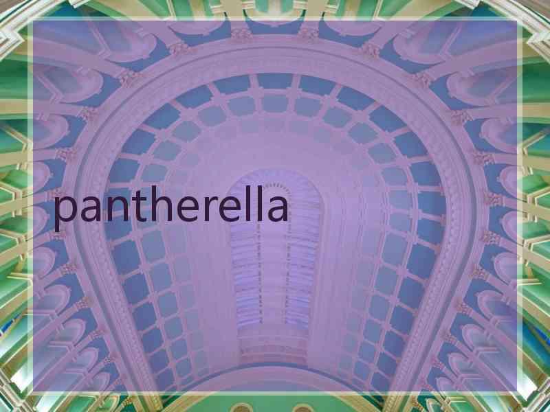 pantherella