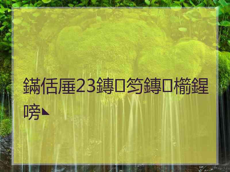 鏋佸厜23鏄笉鏄櫤鍟嗙◣