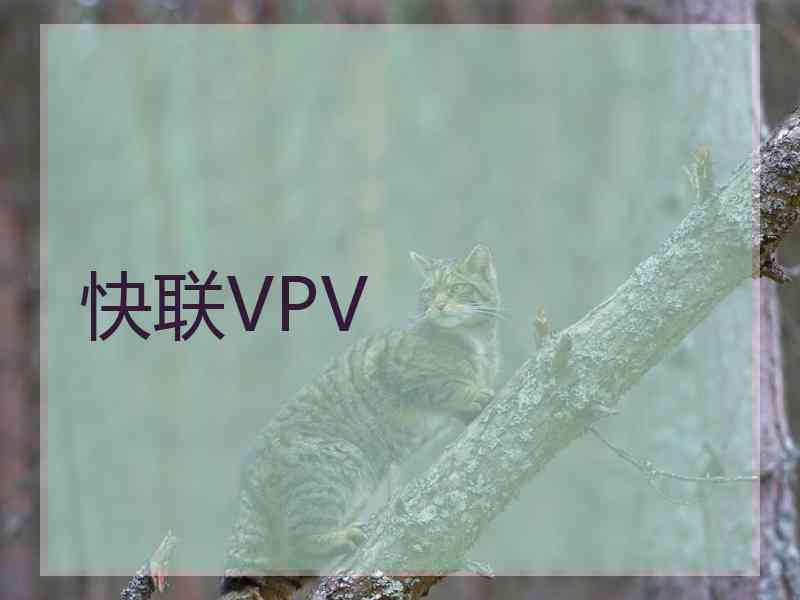 快联VPV