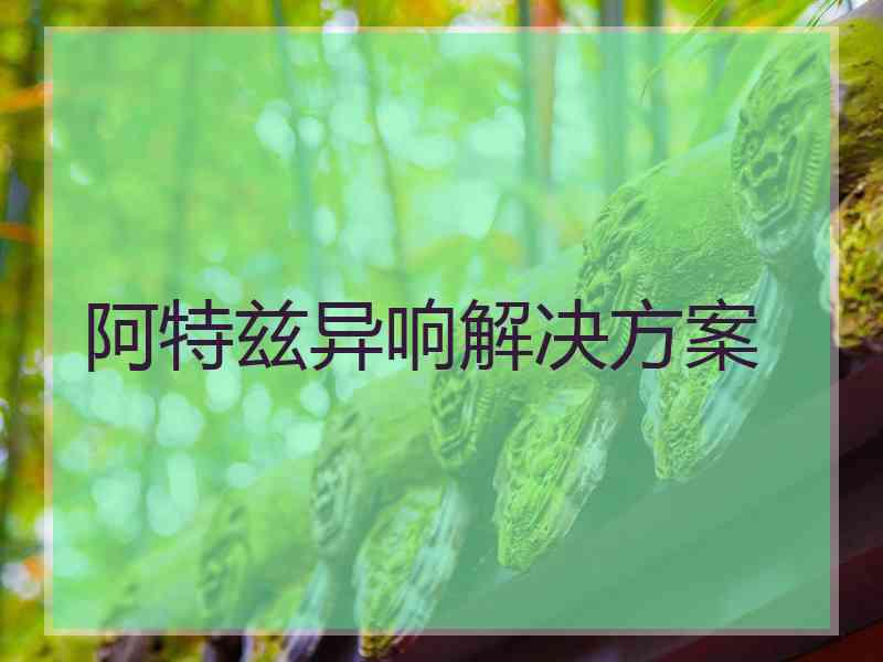 阿特兹异响解决方案