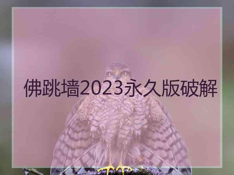 佛跳墙2023永久版破解