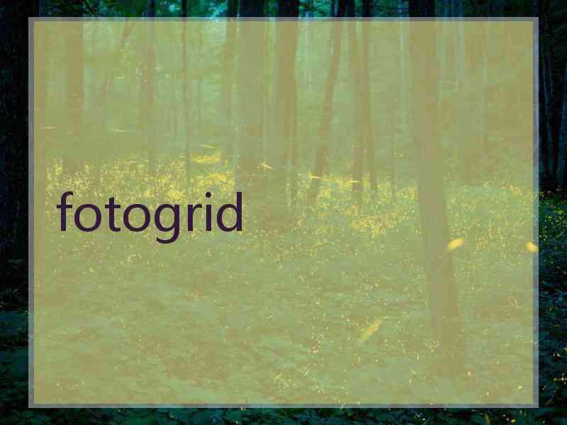 fotogrid