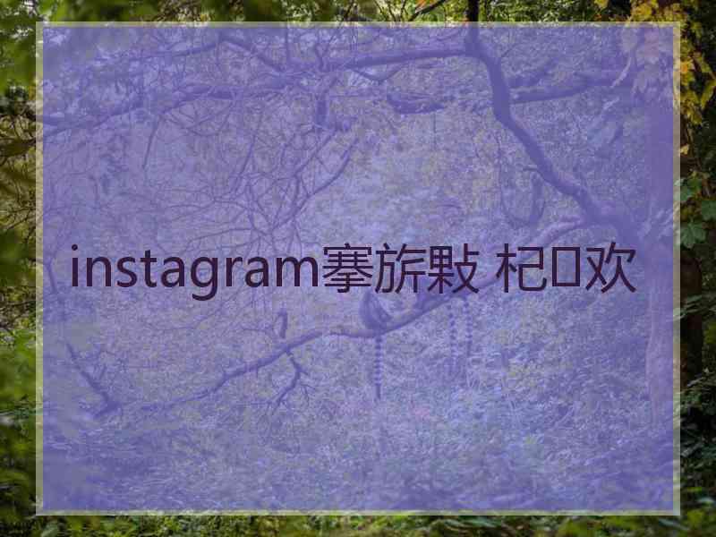 instagram搴旂敤 杞欢