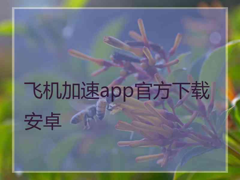 飞机加速app官方下载安卓