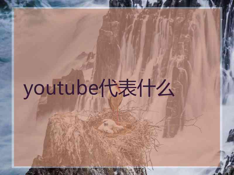 youtube代表什么