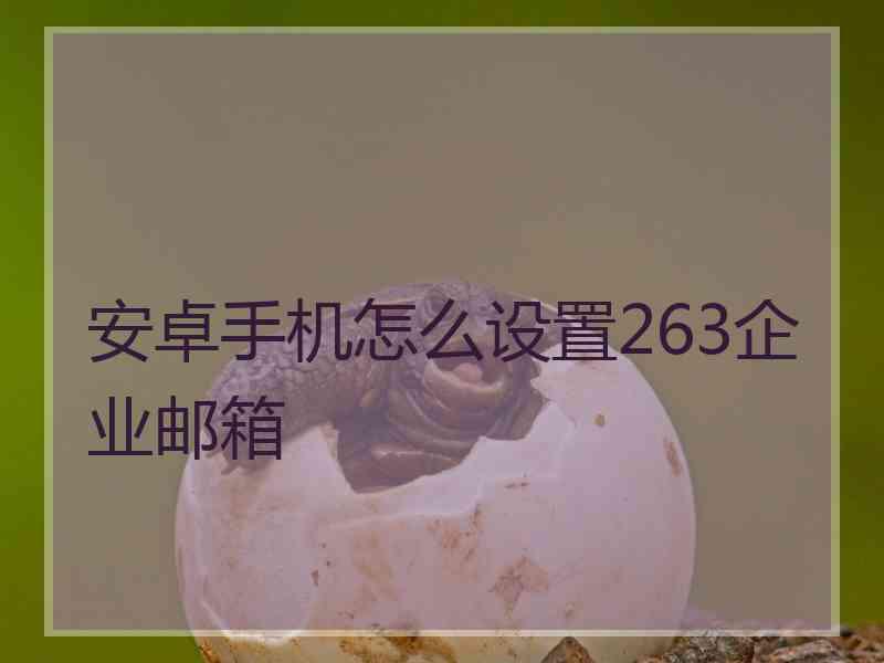 安卓手机怎么设置263企业邮箱