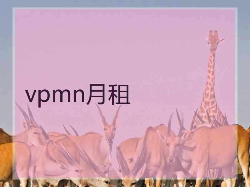 vpmn月租