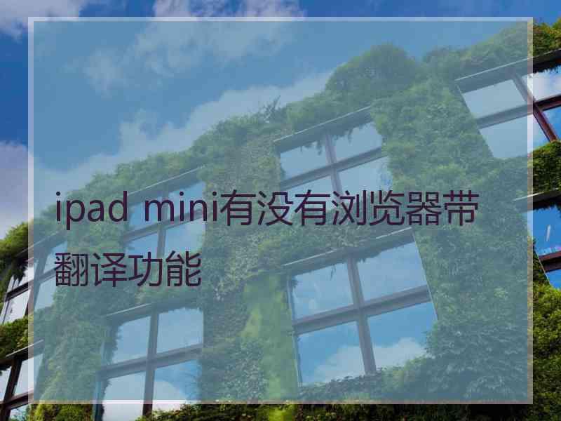 ipad mini有没有浏览器带翻译功能