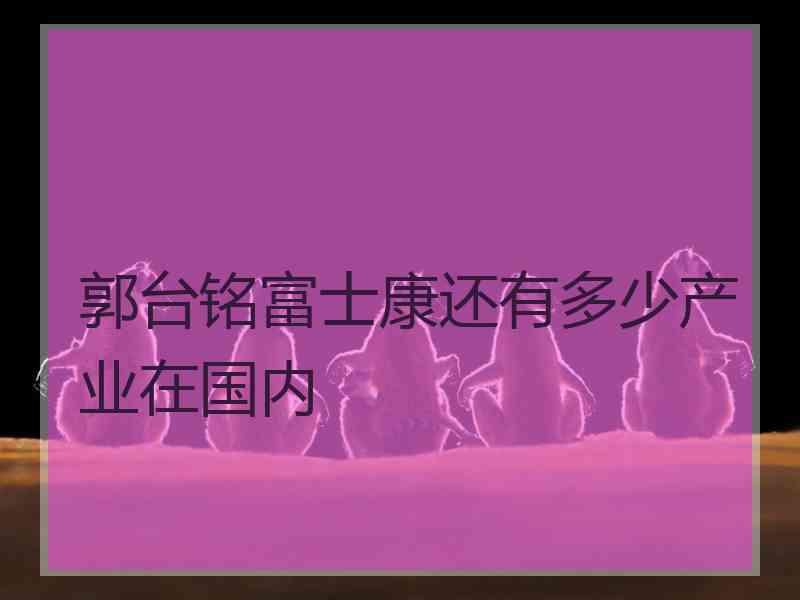 郭台铭富士康还有多少产业在国内