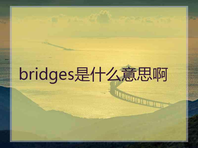 bridges是什么意思啊