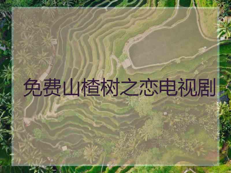 免费山楂树之恋电视剧