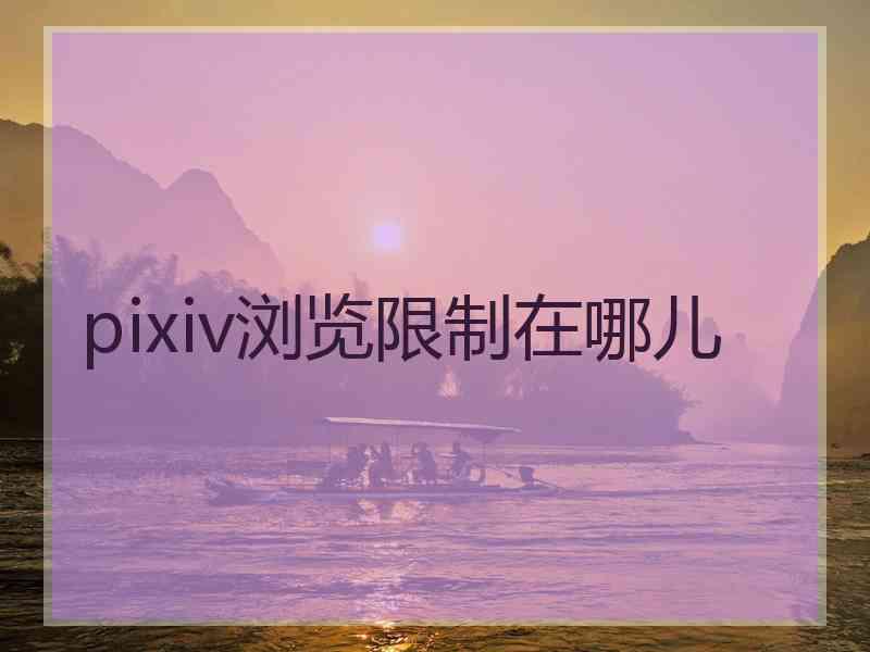 pixiv浏览限制在哪儿