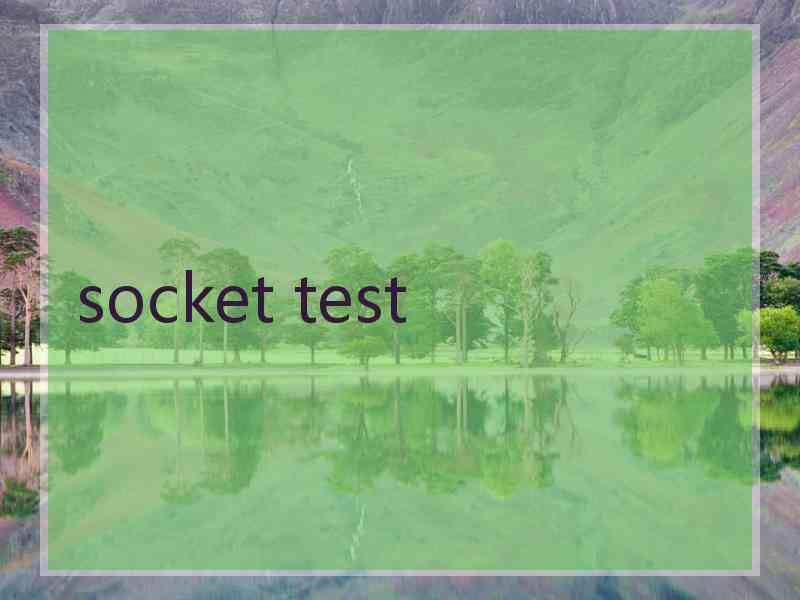 socket test