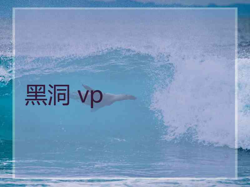 黑洞 vp