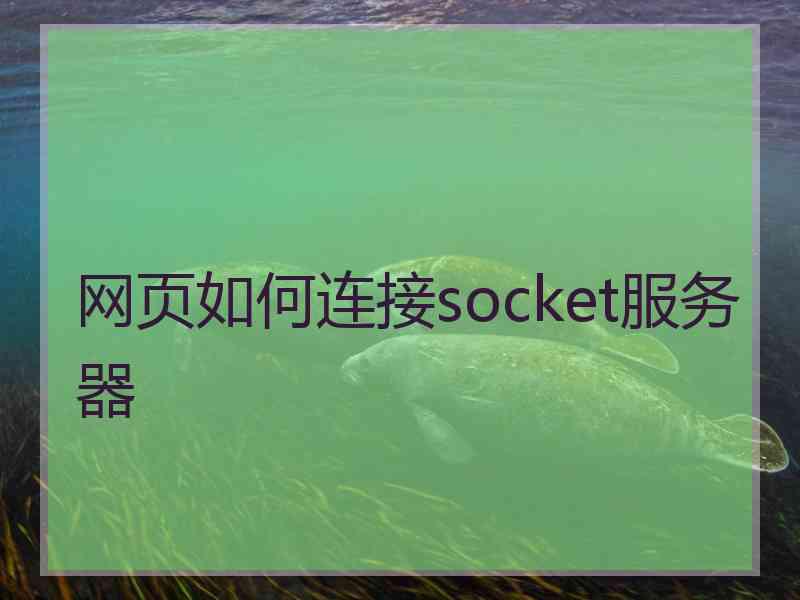 网页如何连接socket服务器