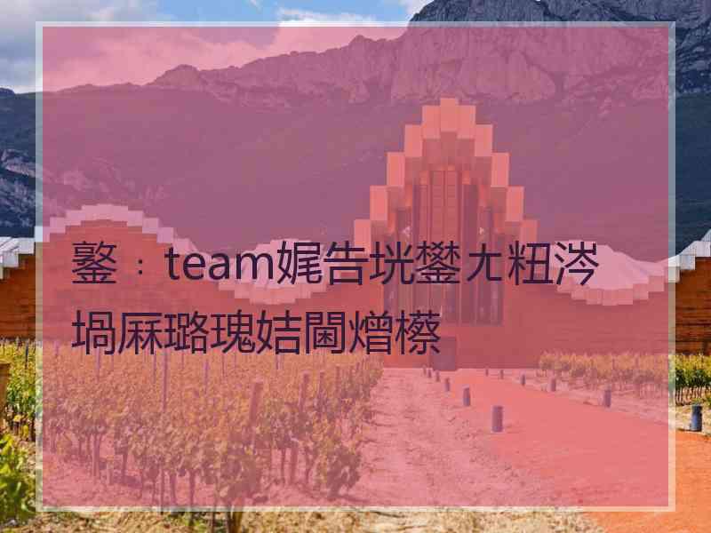 鐜﹕team娓告垙鐢ㄤ粈涔堝厤璐瑰姞閫熷櫒