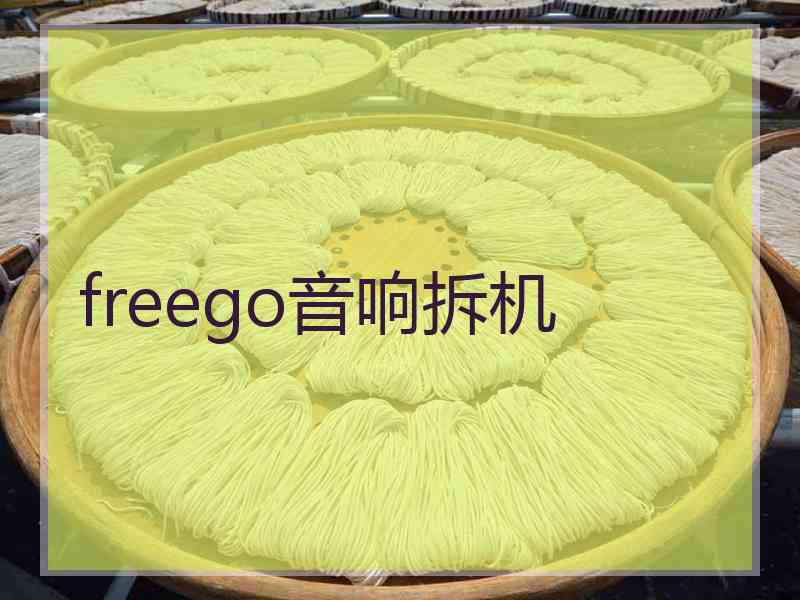 freego音响拆机