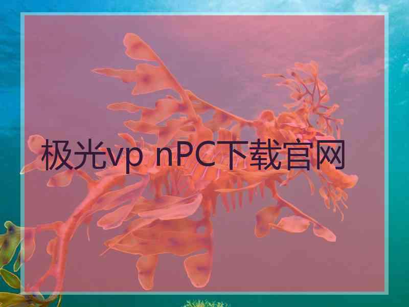 极光vp nPC下载官网