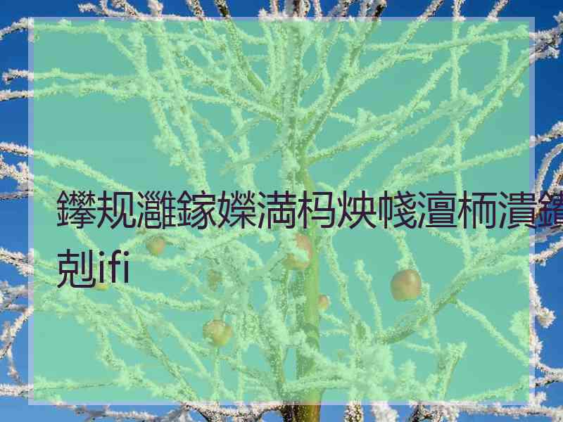 鑻规灉鎵嬫満杩炴帴澶栭潰鐨剋ifi