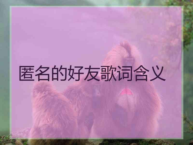 匿名的好友歌词含义