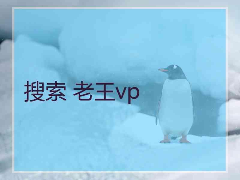 搜索 老王vp