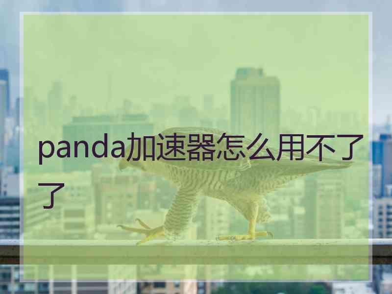 panda加速器怎么用不了了