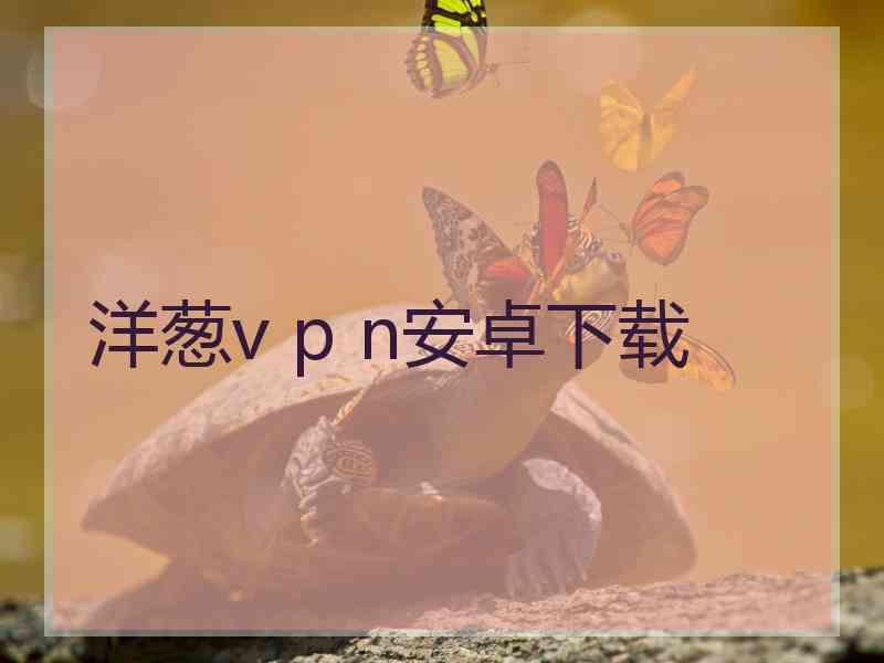 洋葱v p n安卓下载